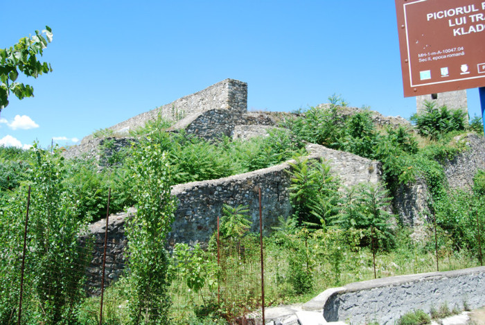 DSC_3543 - ziua 3