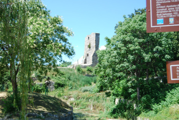 DSC_3549 - ziua 3