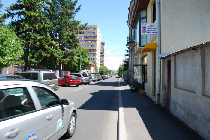 DSC_3563 - ziua 3
