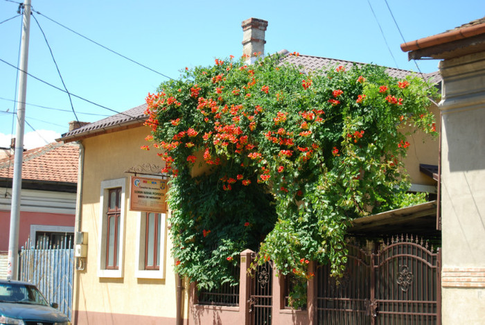 DSC_3570 - ziua 3