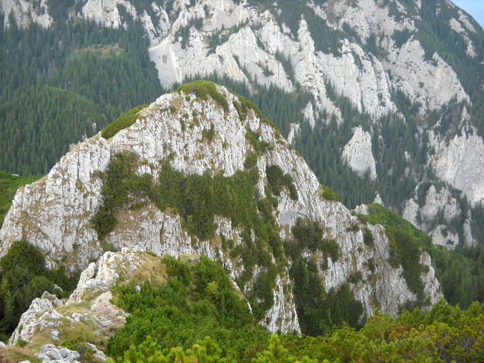 00 - Piatra Craiului -Pietricica