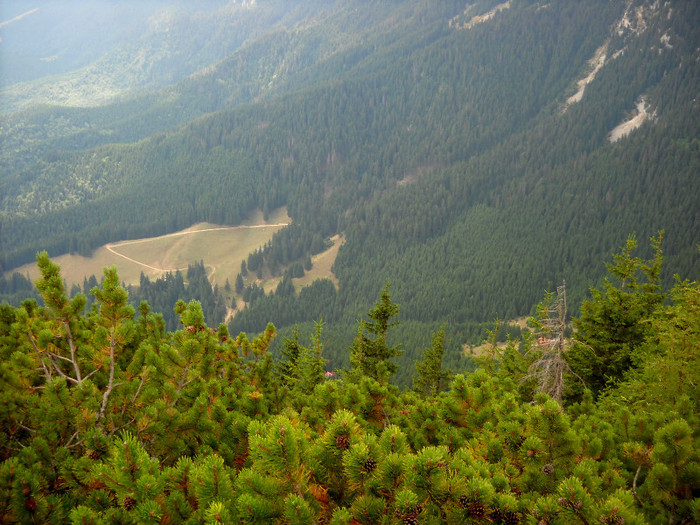 55 - Piatra Craiului -Pietricica