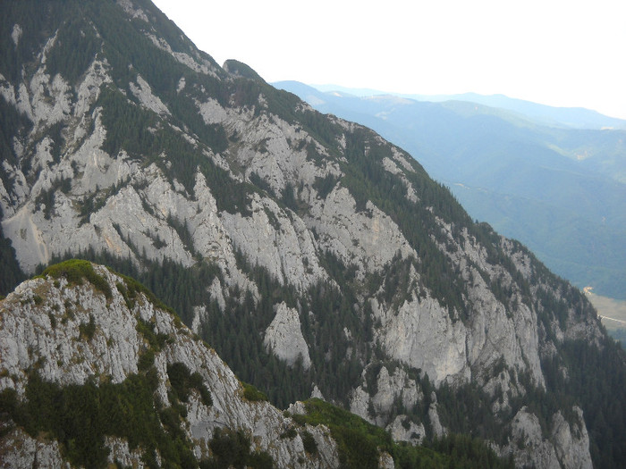 111 - Piatra Craiului -Pietricica