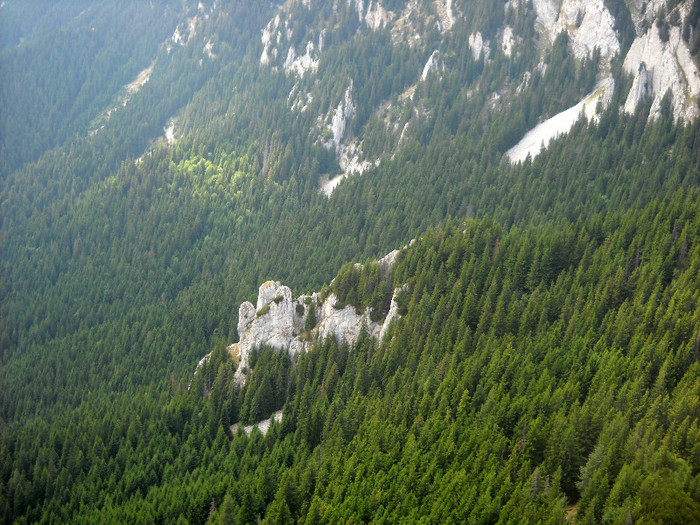 555 - Piatra Craiului -Pietricica