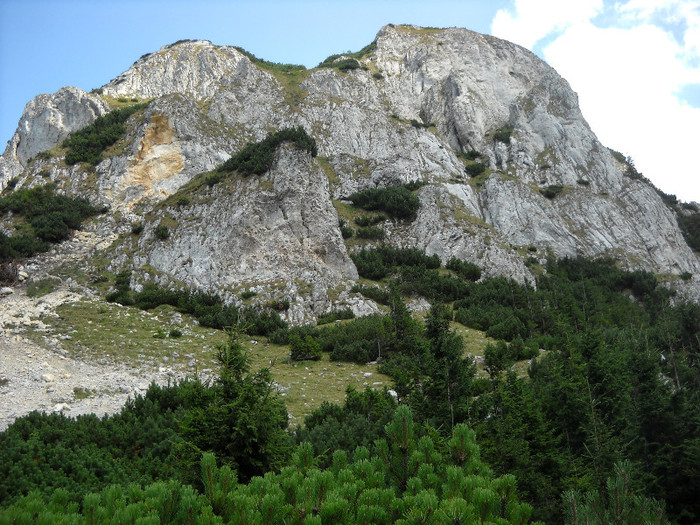 999 - Piatra Craiului -Pietricica