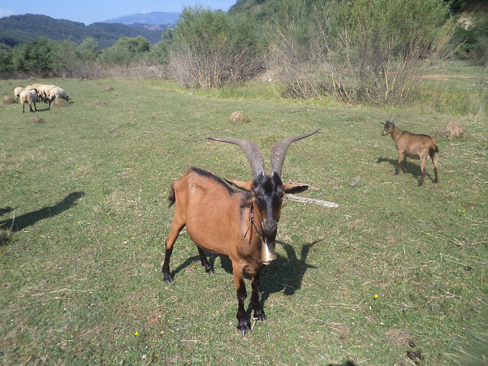 DSC00914