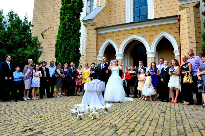 DRL_9312 - LANSARI PORUMBEI ALBI NUNTI SIGHETU MARMATIEI 2012