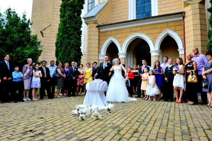 DRL_9313 - LANSARI PORUMBEI ALBI NUNTI SIGHETU MARMATIEI 2012