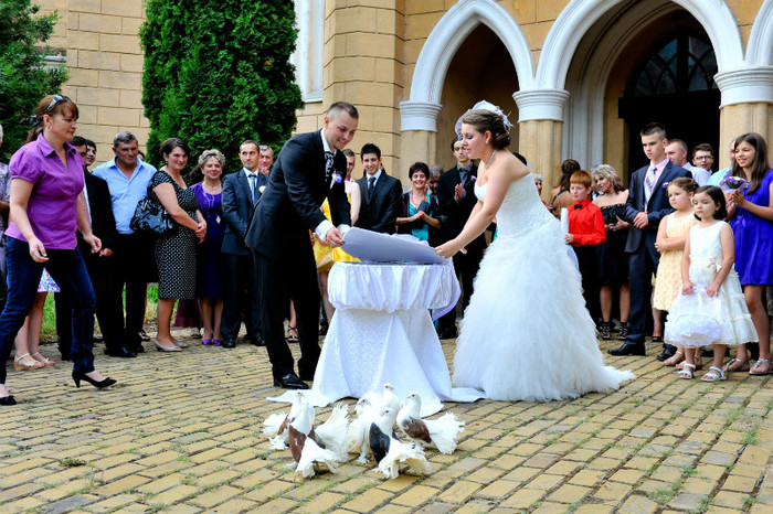 DRL_9319 - LANSARI PORUMBEI ALBI NUNTI SIGHETU MARMATIEI 2012