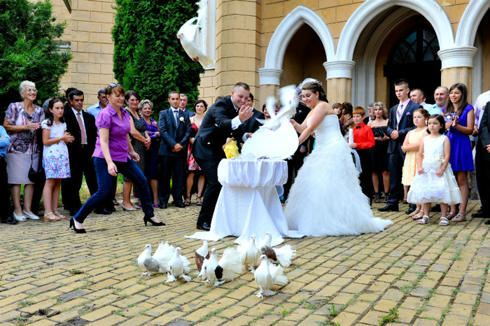 DRL_9327 - LANSARI PORUMBEI ALBI NUNTI SIGHETU MARMATIEI 2012