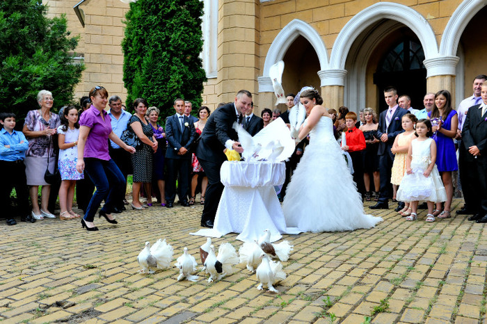 DRL_9328 - LANSARI PORUMBEI ALBI NUNTI SIGHETU MARMATIEI 2012