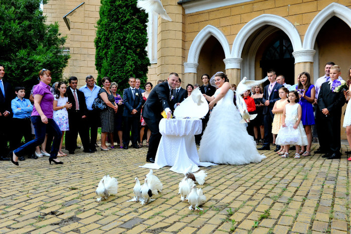 DRL_9330 - LANSARI PORUMBEI ALBI NUNTI SIGHETU MARMATIEI 2012