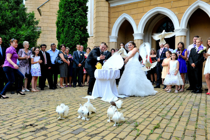 DRL_9331 - LANSARI PORUMBEI ALBI NUNTI SIGHETU MARMATIEI 2012