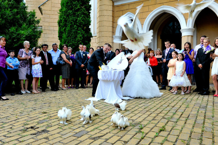 DRL_9332 - LANSARI PORUMBEI ALBI NUNTI SIGHETU MARMATIEI 2012