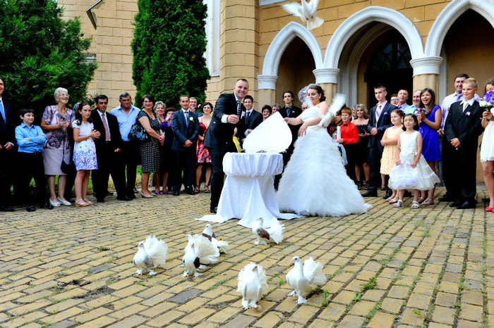 DRL_9335 - LANSARI PORUMBEI ALBI NUNTI SIGHETU MARMATIEI 2012