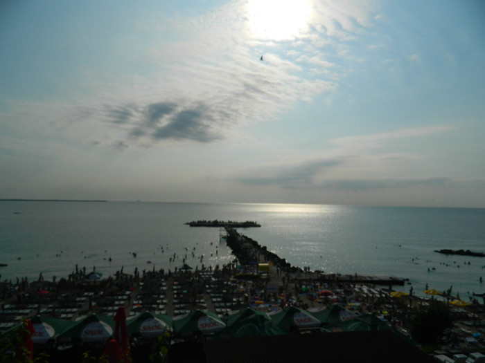 DSCN9205