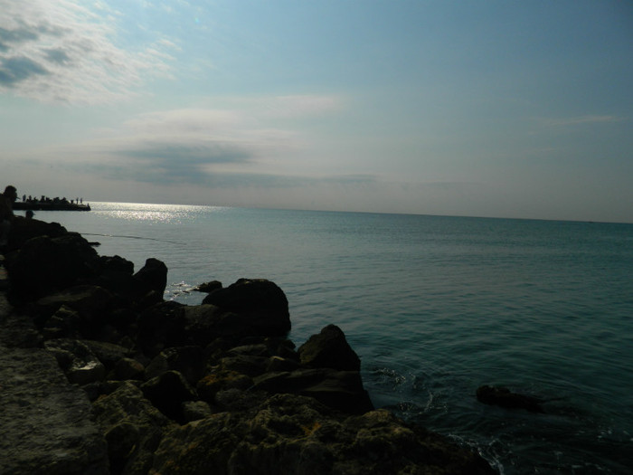 DSCN9212