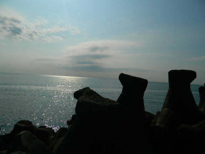 DSCN9218