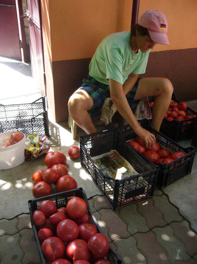 P1030306 - tomatele mele