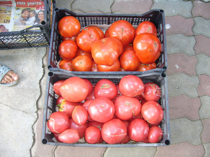 P1030311 - tomatele mele