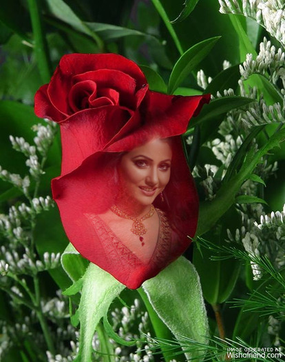 1317550109beautifulrose