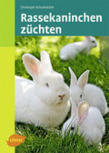 Rassekaninchen zuchten
