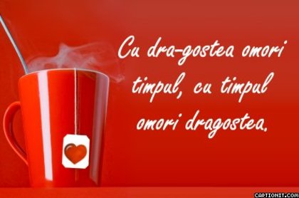 captionit2063439918B82