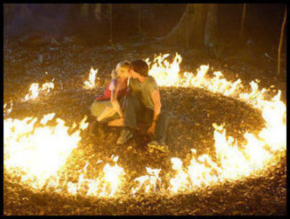 3920009900a7203533261l