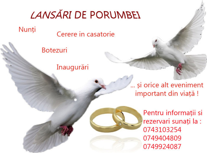 Lansari de porumbei-carte de vizita