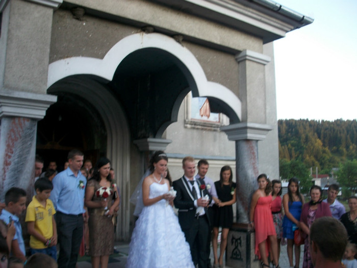 ALIM8452 - LANSARI PORUMBEI ALBI NUNTI SIGHETU MARMATIEI 2012