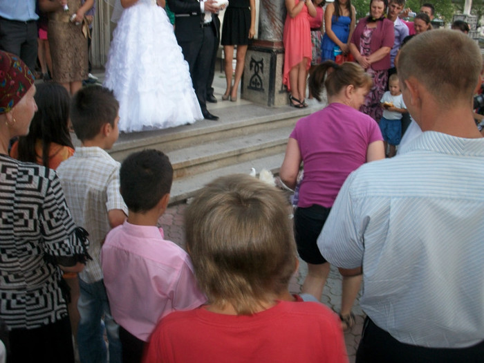 ALIM8453 - LANSARI PORUMBEI ALBI NUNTI SIGHETU MARMATIEI 2012