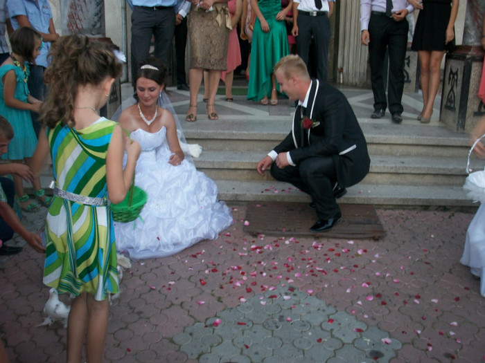 ALIM8455 - LANSARI PORUMBEI ALBI NUNTI SIGHETU MARMATIEI 2012