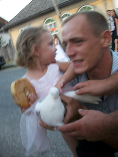 ALIM8458 - LANSARI PORUMBEI ALBI NUNTI SIGHETU MARMATIEI 2012