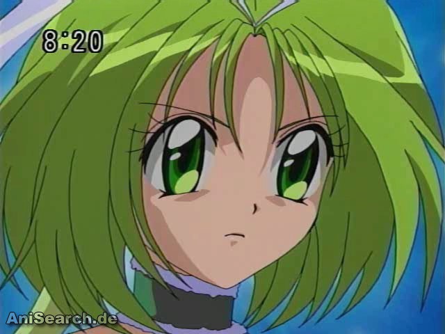 31340 - Tokyo Mew Mew