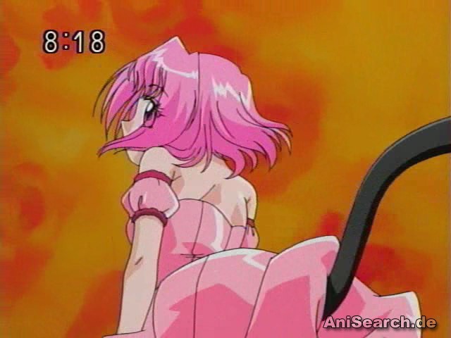 31344 - Tokyo Mew Mew