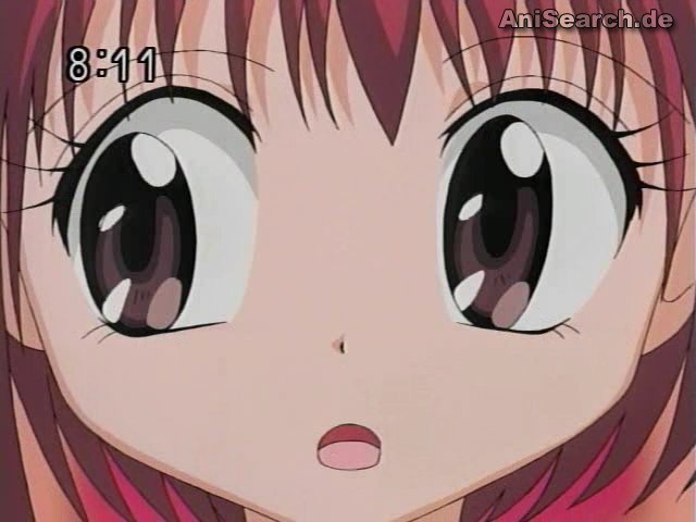 31358 - Tokyo Mew Mew