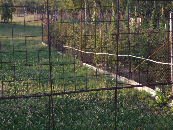 Picture 4196 Picture 4196