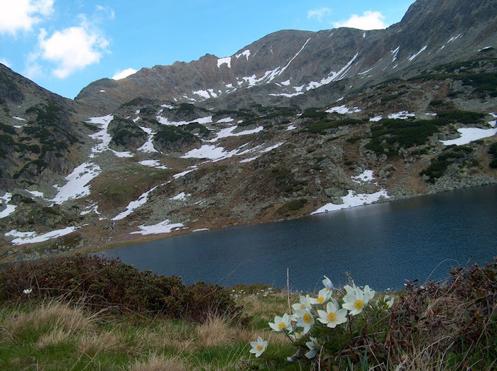 RETEZAT - LACUL BUCURA 03.06 (367) - RETEZAT-LACUL BUCURA