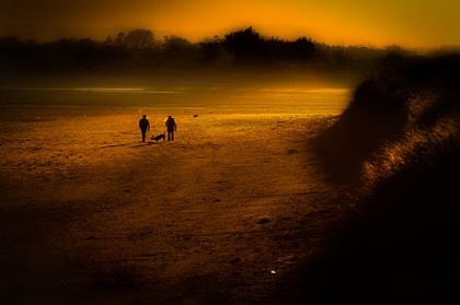 sunset_boulevard - 0-diverse poze