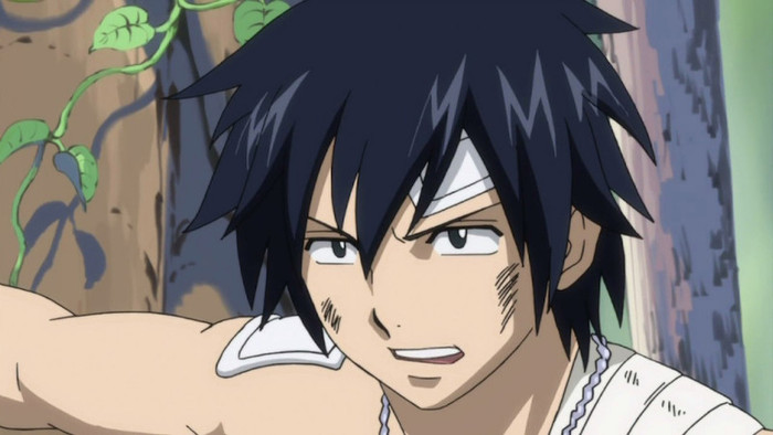 FAIRY TAIL - 14 - Large 29 - Fairy Tail