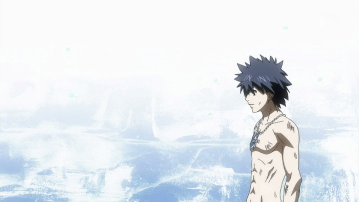 FAIRY TAIL - 16 - Large 06 - Fairy Tail
