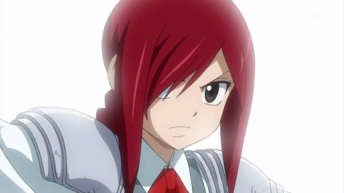 FAIRY TAIL - 20 - Large 08 - Fairy Tail