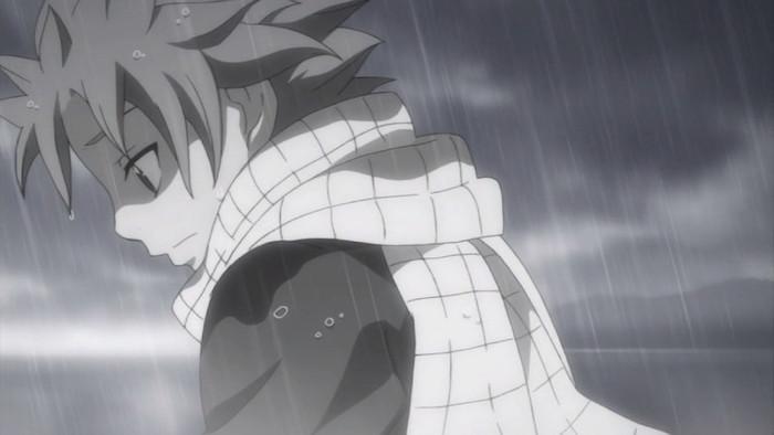 FAIRY TAIL - 20 - Large 09 - Fairy Tail