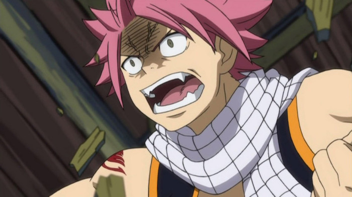 FAIRY TAIL - 21 - Large 06 - Fairy Tail