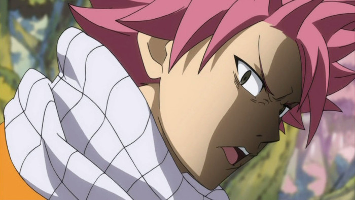 FAIRY TAIL - 20 - Large 04 - Natsu