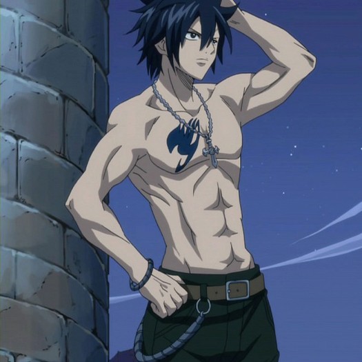 Gray.Fullbuster.600.661410