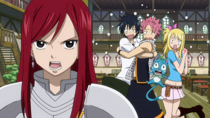 FAIRY TAIL - 19 - Large 01 - Erza