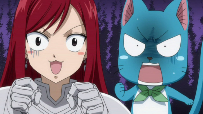 FAIRY TAIL - 19 - Large 18 - Erza