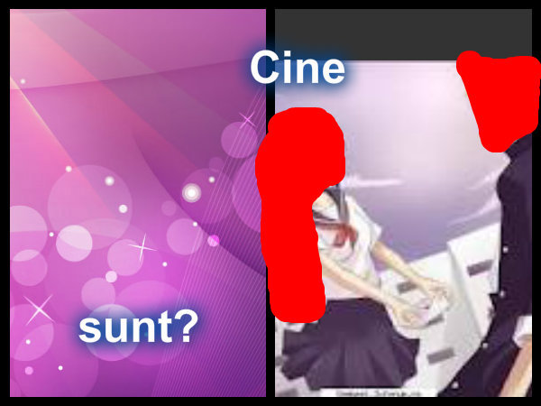 Cine sunt - Ghici 23