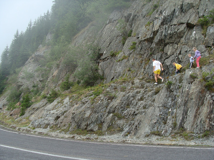 DSC08632 - Transfagarasan